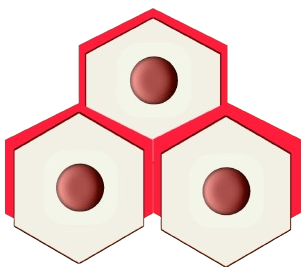 logo1